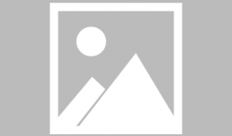 91直播免费,免费畅享精彩赛事，尽在指尖一触即达